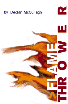 by  Declan McCullagh