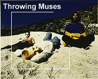 Throwing Muses