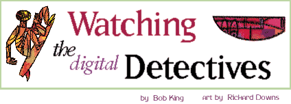 Watching the Digital Detectives